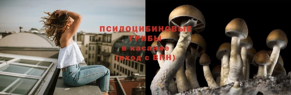 стафф Белокуриха