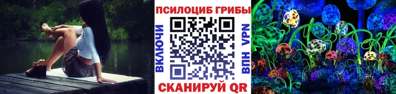 закладка  Шенкурск  Галлюциногенные грибы мицелий 