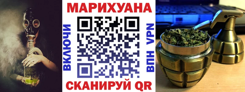 Каннабис план  как найти   Шенкурск 